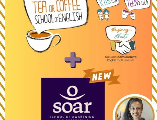 SOAR School of awakening and recreating. Have a look to our new proposal